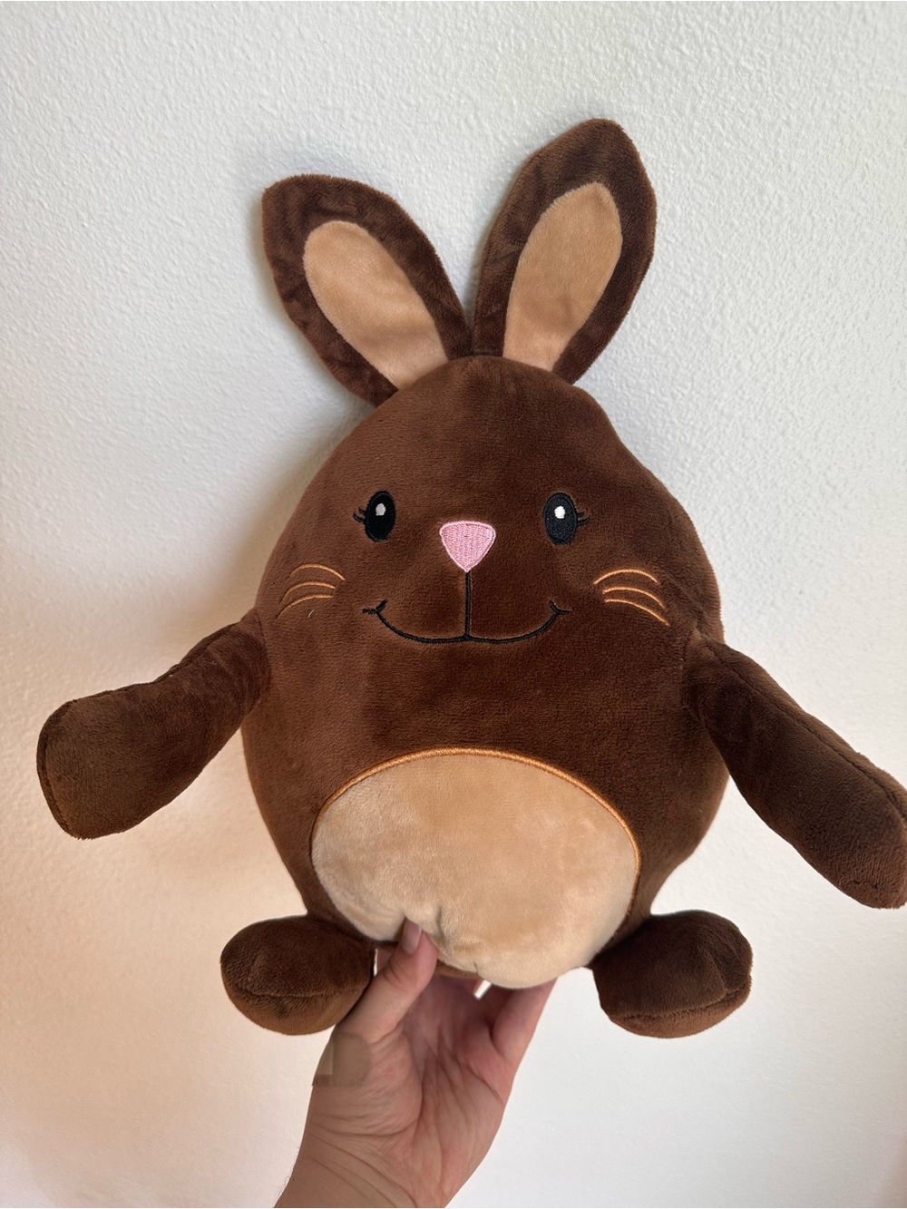 Brown bunny